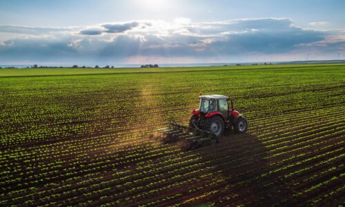 Innovationen im landwirtschaftlichen Betrieb: Optimierung von Prozessen